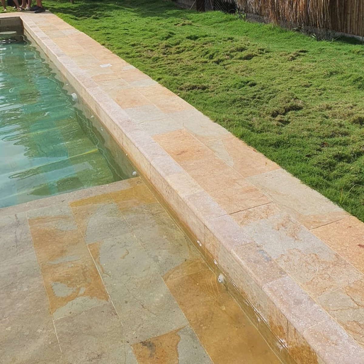 Borde Piscina en Mármol Sinú Veta